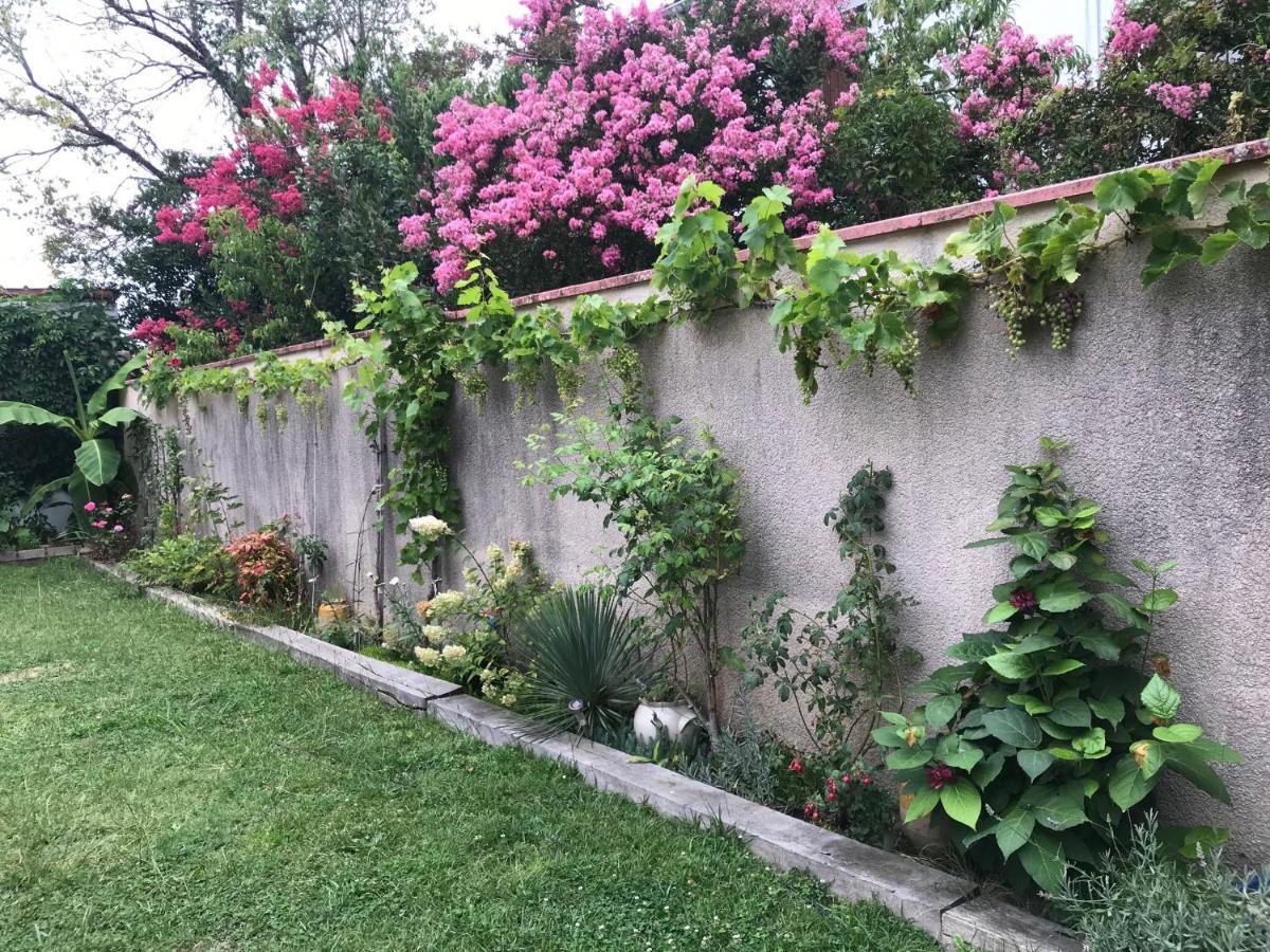 La Croix Blanche Bed & Breakfast Dax Dış mekan fotoğraf